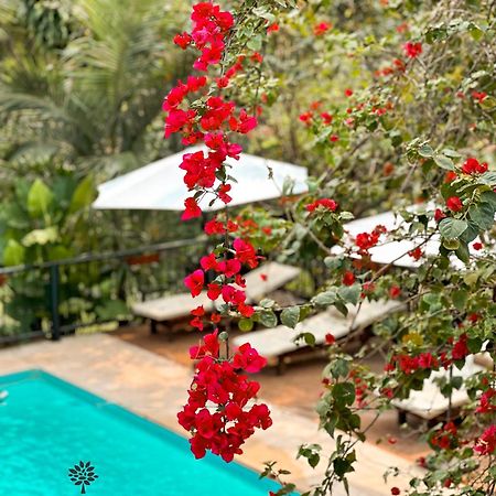Mediterraneo Suites ปูแอร์โตอีกวาซู ภายนอก รูปภาพ