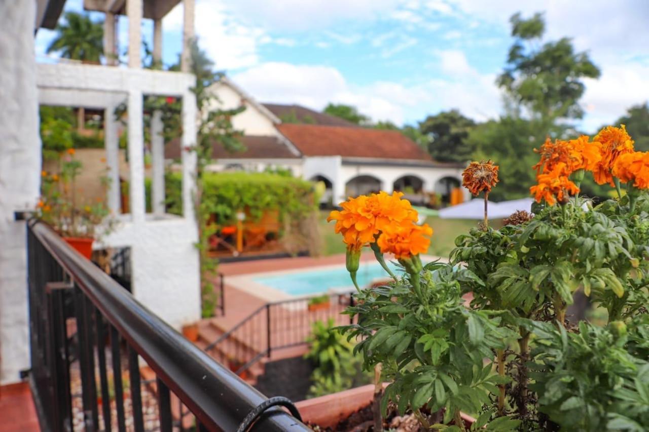 Mediterraneo Suites ปูแอร์โตอีกวาซู ภายนอก รูปภาพ