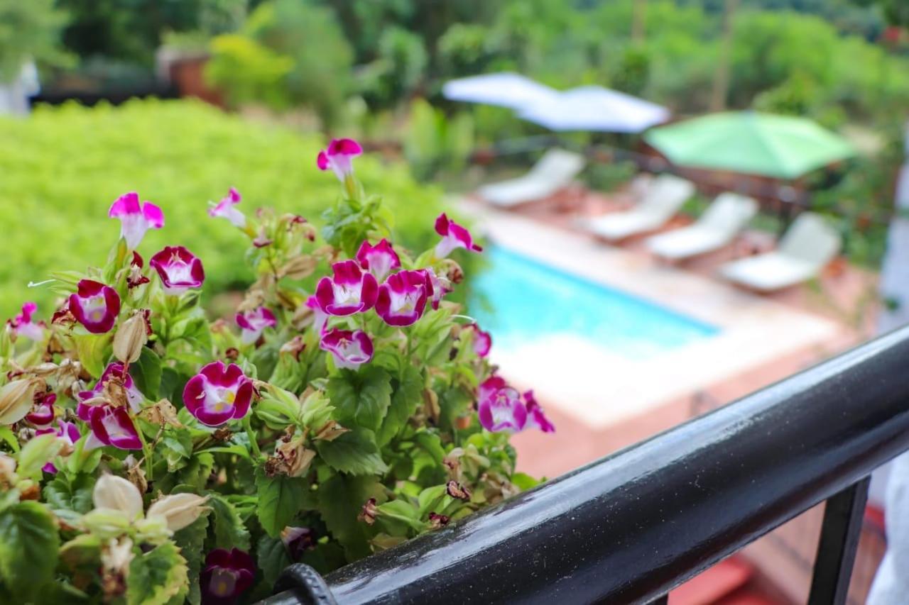 Mediterraneo Suites ปูแอร์โตอีกวาซู ภายนอก รูปภาพ