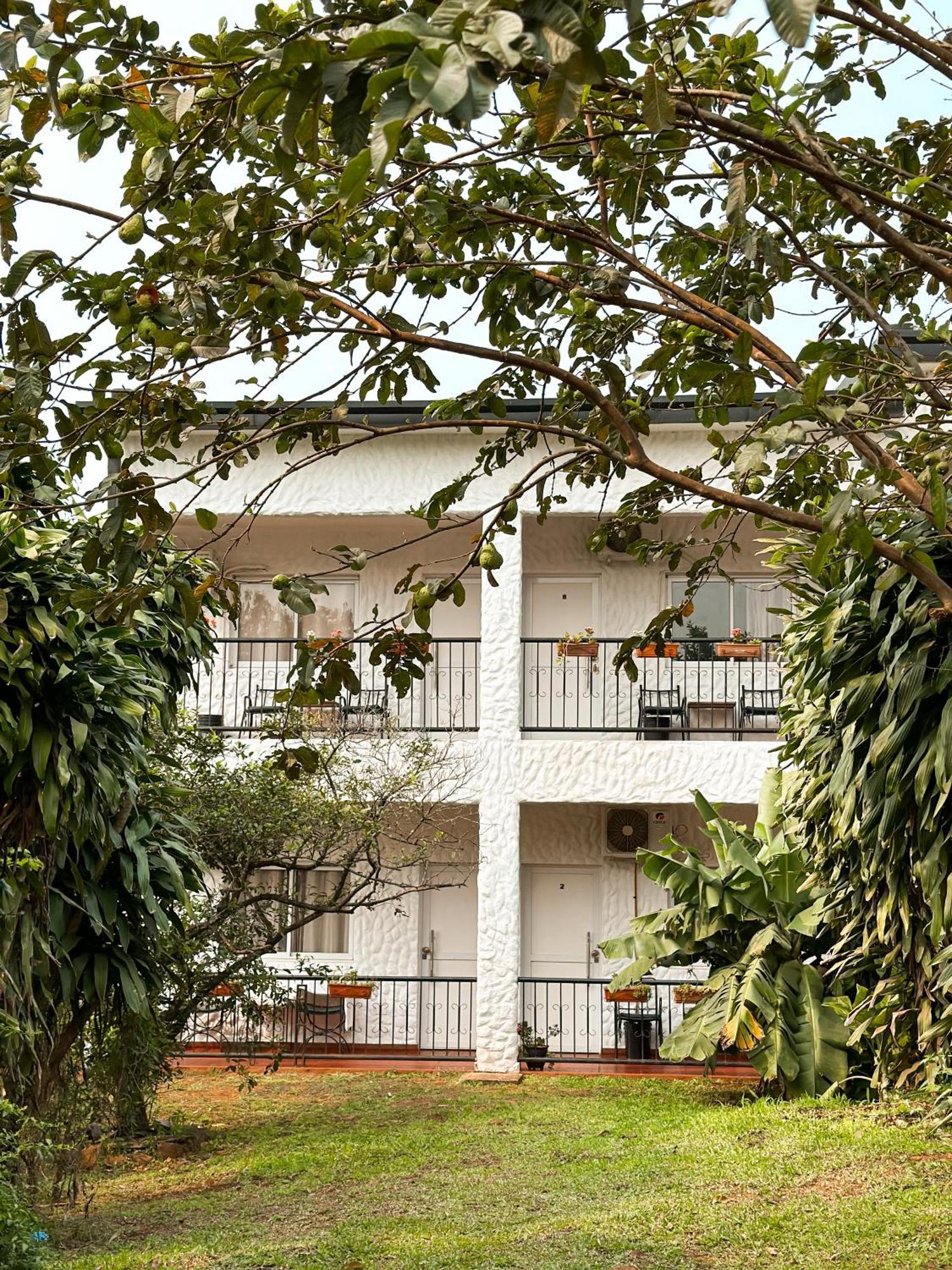 Mediterraneo Suites ปูแอร์โตอีกวาซู ภายนอก รูปภาพ