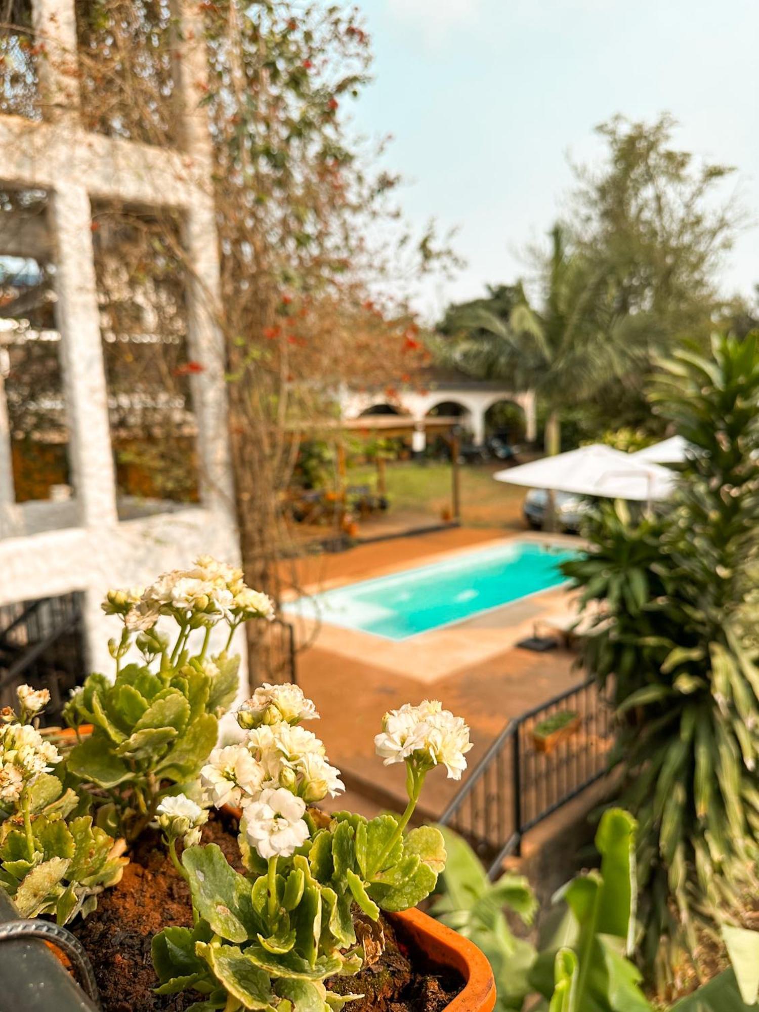 Mediterraneo Suites ปูแอร์โตอีกวาซู ภายนอก รูปภาพ