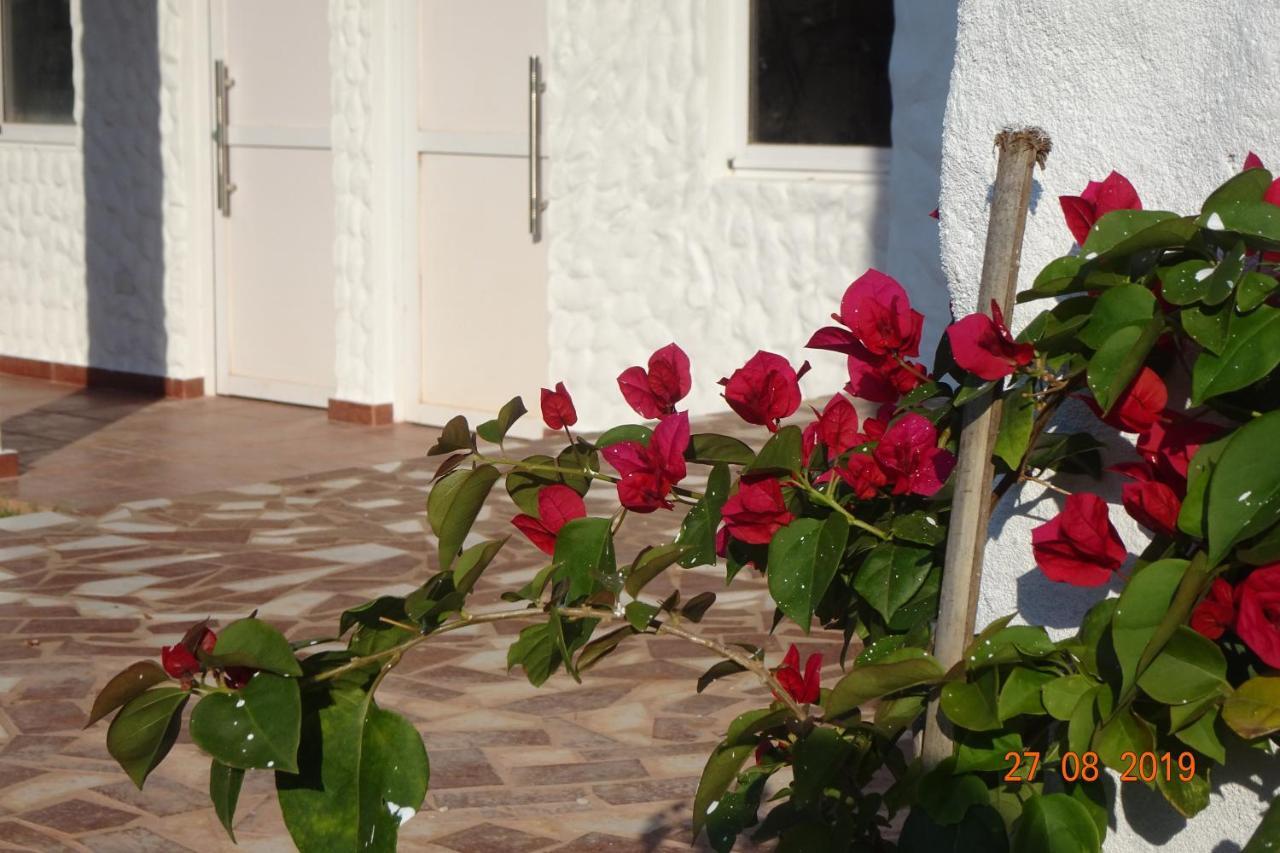 Mediterraneo Suites ปูแอร์โตอีกวาซู ภายนอก รูปภาพ